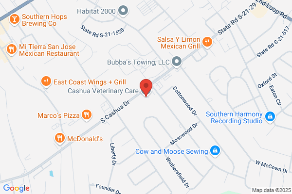 Cashua Veterinary Care