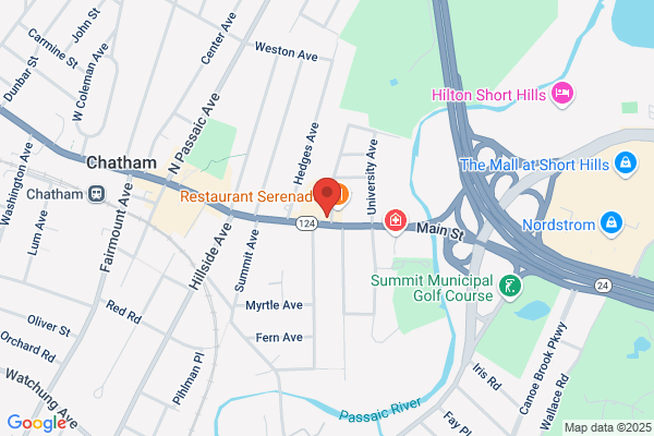 Harmony Pediatric Therapy - Chatham