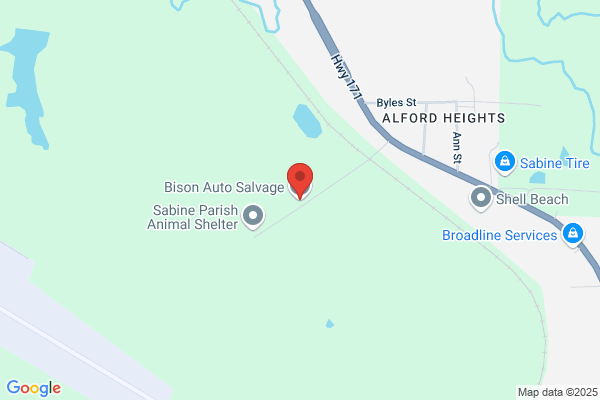 Bison Auto Salvage