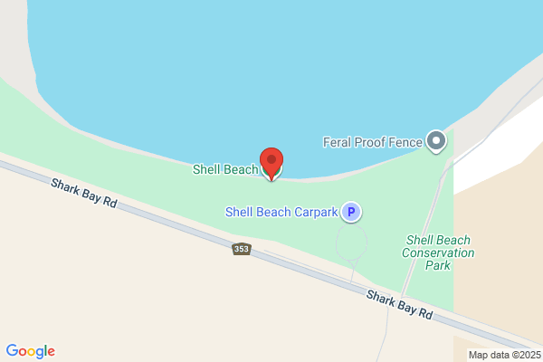 Shell Beach