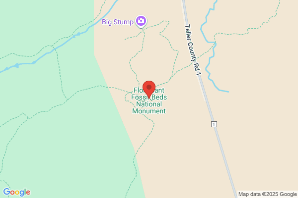 Florissant Phillips 66