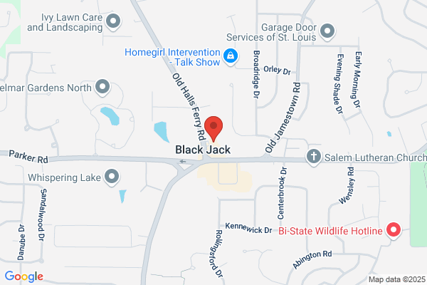 Black Jack Firestone
