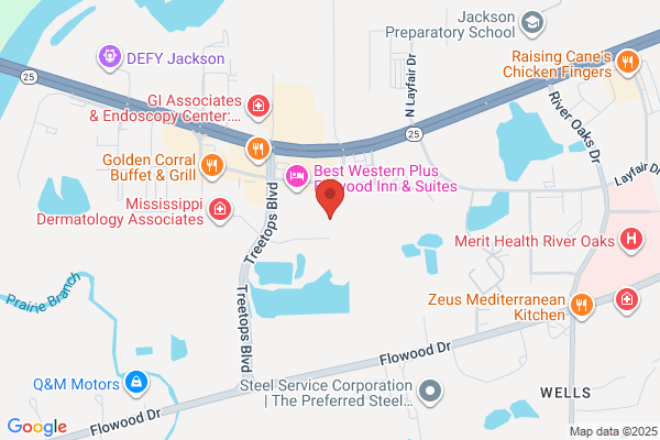 Mississippi Blood Services