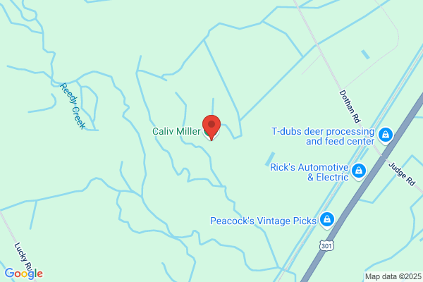 Dillon County, County Purchasing