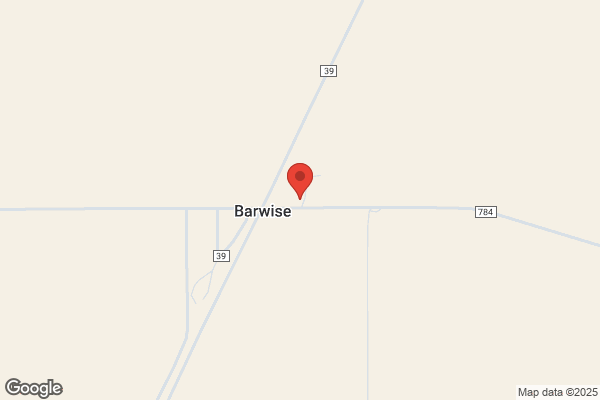 Barwise Gin
