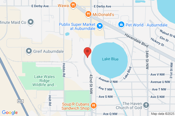 Avante Automobile Sales Inc