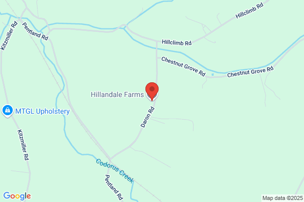Hillandale Farms Inc