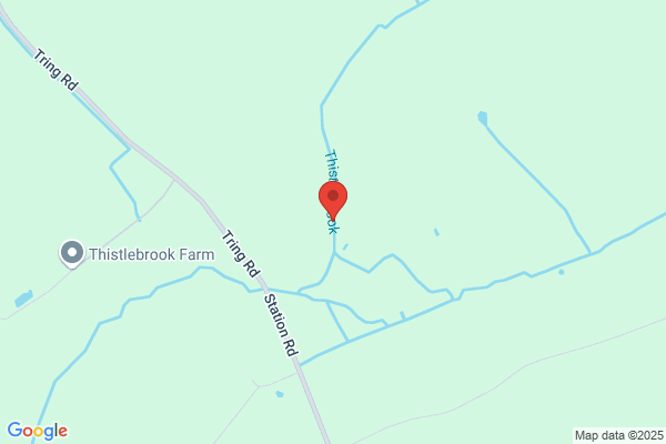 Thistlebrook B & B