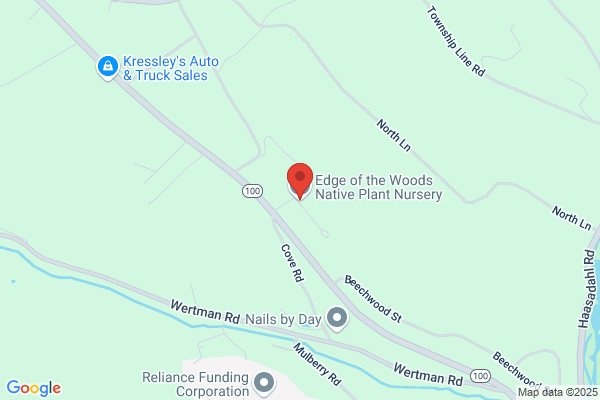 Edge of the Woods Native Plant Nursery