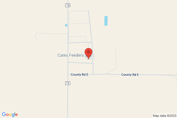 Cate's Feeders