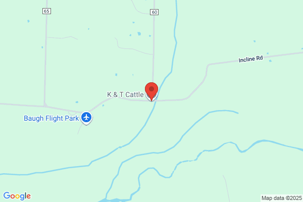 Kt Cattle Inc