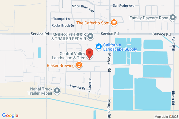 Central Valley Landscape Construction