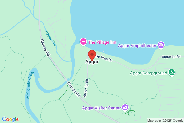 Apgar S