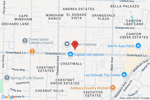 Greenback Park Plaza