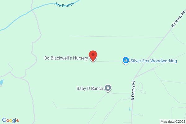Blackwells Nursery
