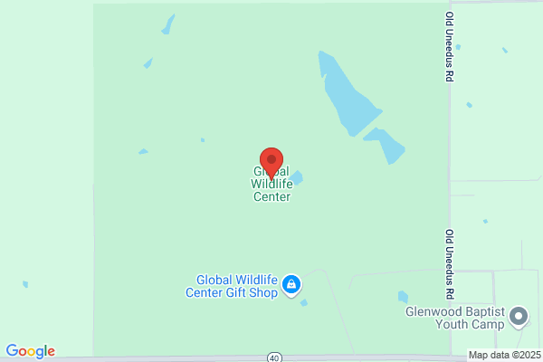 Global Wildlife Center