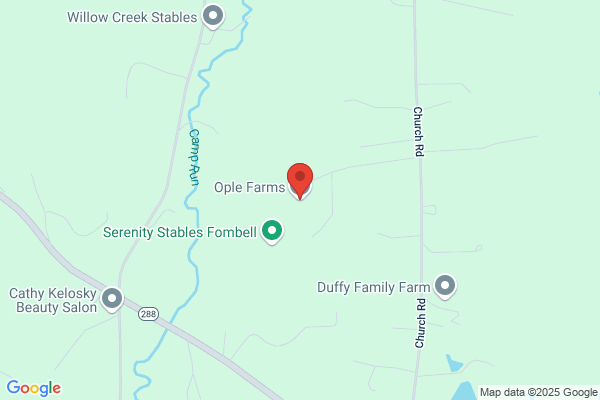 Timber Creek Farm