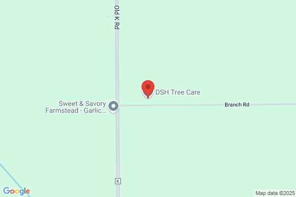 DSH Tree Care