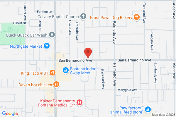 Fontana Mobile Auto Glass