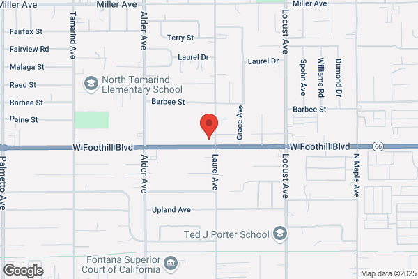 Ledesma Tire Shop