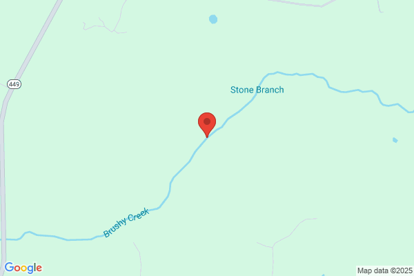 Brushy Creek Land Co