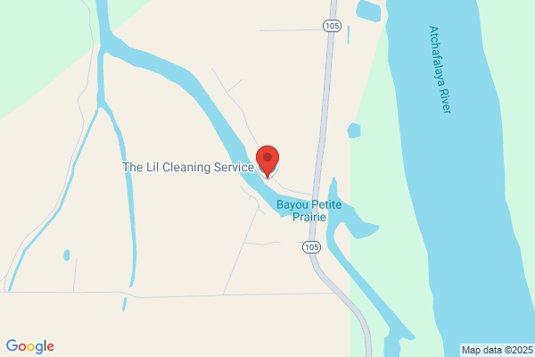 The Lil Cleaning Service