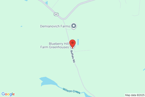 Blueberry Hill Farm Greenhouses, LLC
