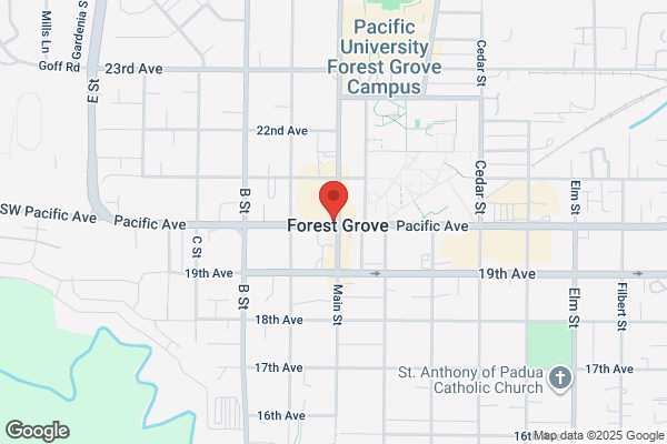 Phoenix Acupuncture & Chinese Medicine