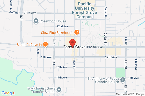 Tanya Peterson, REALTOR | Next Level Real Estate PNW - John L. Scott Market Center