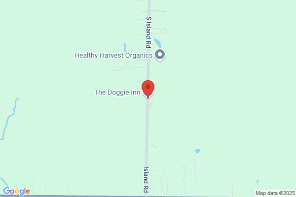 Doggie Inn