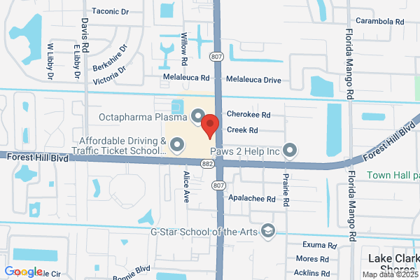 Gonzalez Sandra Insurance