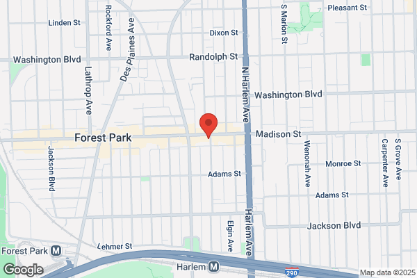Forest Park Tree Removal