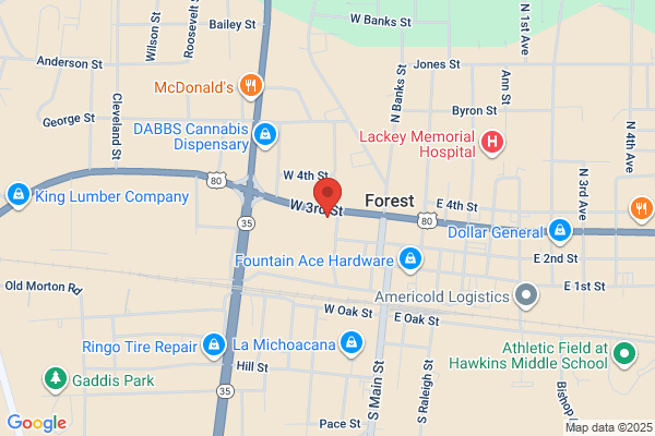 The Bank Of Forest