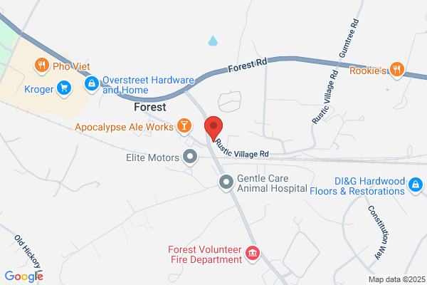 Forest Automotive Inc
