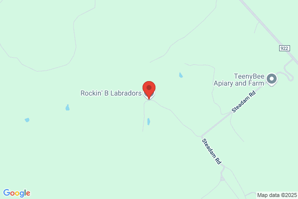 Rockin' B Land Services