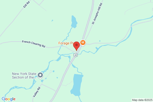 Forestburgh Store the