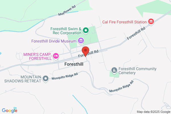 Forest House