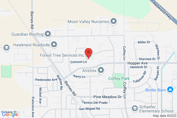 Forestville Tree Service