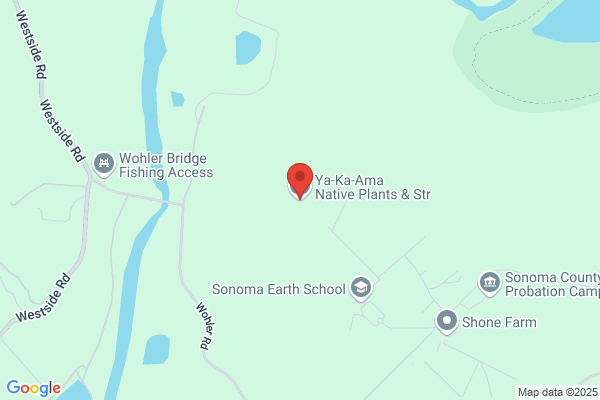 Ya-Ka-Ama Native Plants & Store