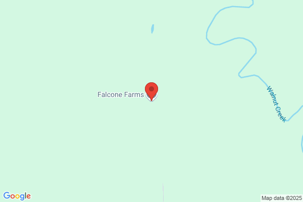 Falcone Farms Inc