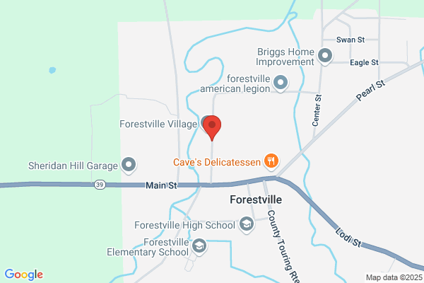 Forestville Village of