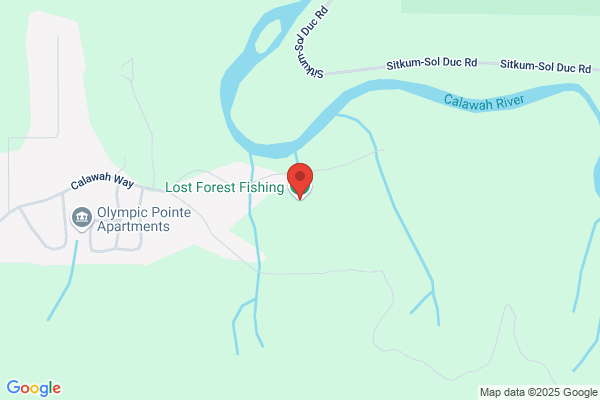 Lost Forest Fishing