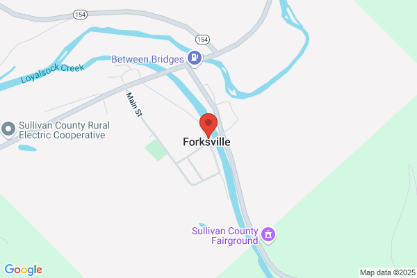 Forksville General Store