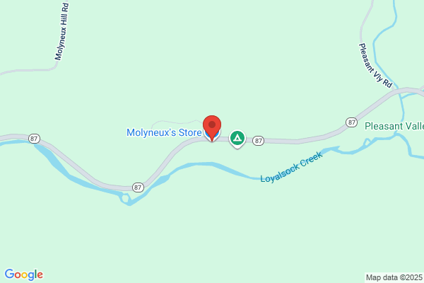 Molyneux's Store