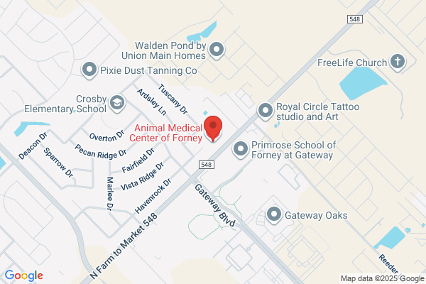Animal Medical Center of Forney, A Thrive Pet Healthcare Partner