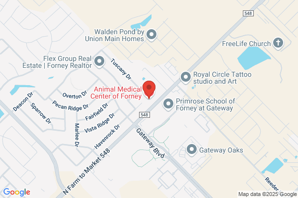 Animal Medical Center of Forney, A Thrive Pet Healthcare Partner