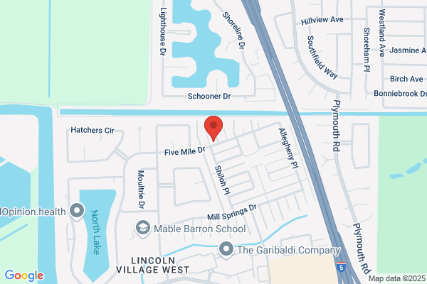 Martins Carpet & Upholstery Cleaning