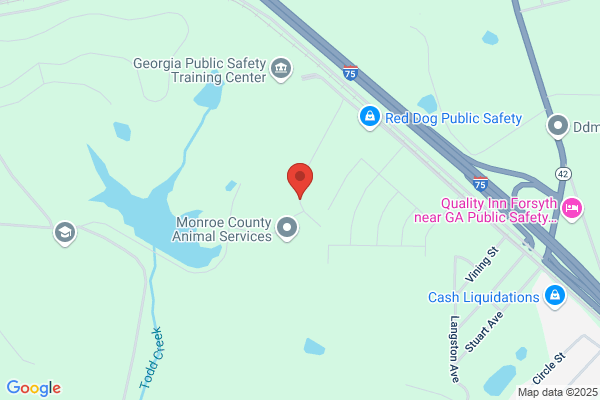 Towaliga District Circuit Drug Court