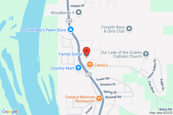 Family Dollar Stores Inc