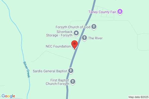 Nec Foundation